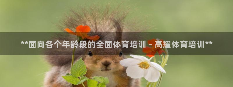 尊龙凯时是正规平台吗：**面向各个年龄段的全面体育培