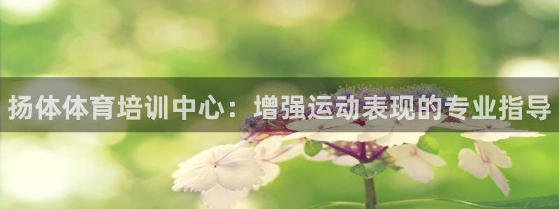 尊龙会：扬体体育培训中心：增强运动表现的专业指导