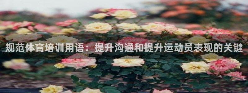 尊龙l1500：规范体育培训用语：提升沟通和提升运动