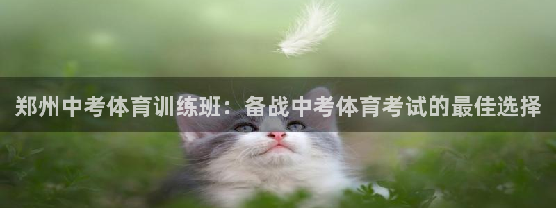 尊龙手机客户端下载