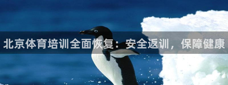 尊龙凯时代理：北京体育培训全面恢复：安全返训，保障健