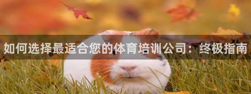 尊龙app最新版本官网：如何选择最适合您的体育培训公