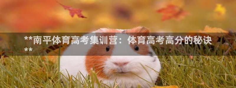 尊龙2020：**南平体育高考集训营：体育高考高分的