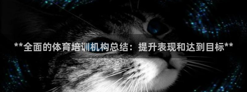尊龙新版App下载：**全面的体育培训机构总结：提升