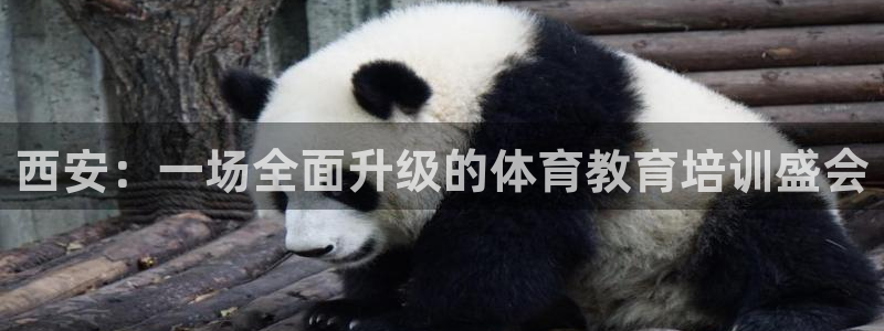 尊龙科技