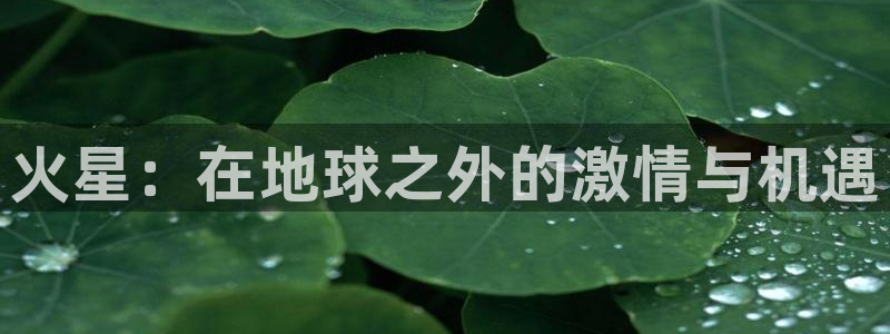 尊龙am i blue
