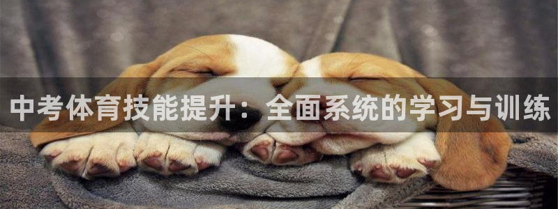 尊龙d88官网QU来就送38