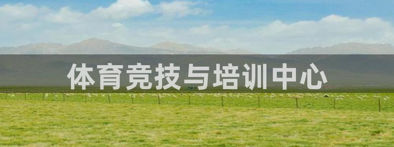 尊龙凯时提不了款