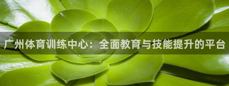 尊龙游戏app官方网站