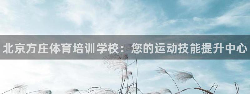 尊龙t300和t400哪个好：北京方庄体育培训学校：