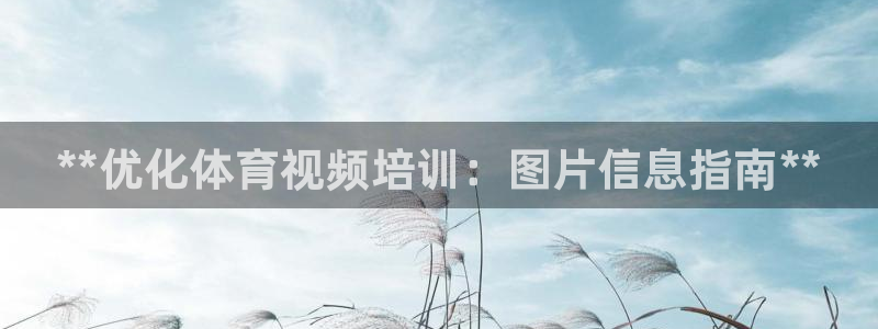 凯时k66娱乐登录：**优化体育视频培训：图片信息指