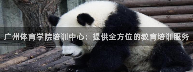 尊龙凯时平台有没有不到账的