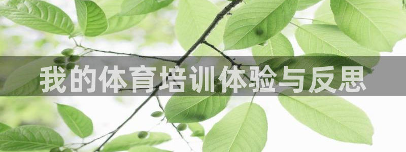 尊龙凯时是直营吗