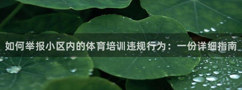 凯时app官网首页：如何举报小区内的体育培训违规行为