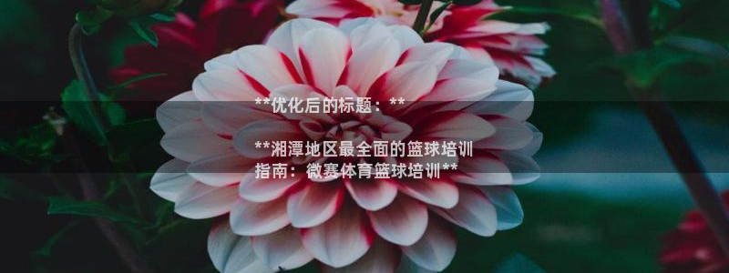 尊龙凯时官网版登录：**优化后的标题：**

**湘