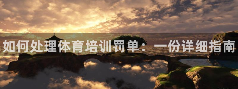 尊龙体育怎么样：如何处理体育培训罚单：一份详细指南