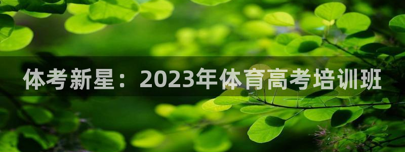 尊龙凯时官网首页：体考新星：2023年体育高考培训班