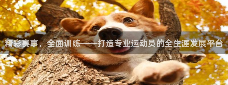 尊龙手机官方客户端下载安卓：精彩赛事，全面训练——打