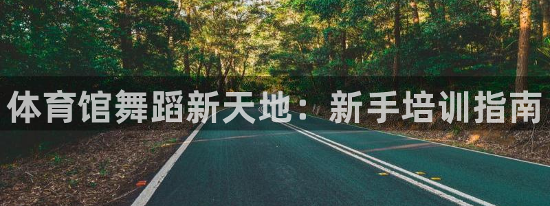 尊龙 ag：体育馆舞蹈新天地：新手培训指南