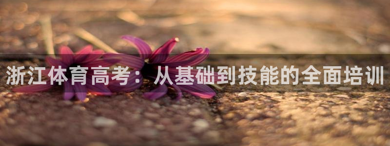 尊龙凯时一人生就是博登入：浙江体育高考：从基础到技能