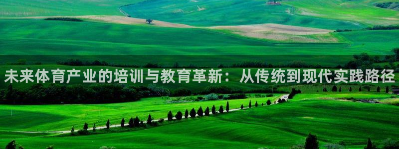 尊龙ag旗舰官网：未来体育产业的培训与教育革新：从传统到现代