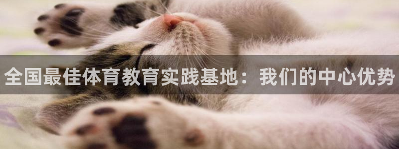 凯时a88：全国最佳体育教育实践基地：我们的中心优势