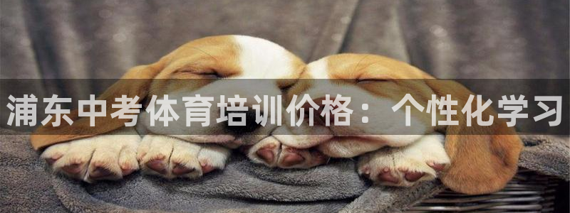 凯时国际娱乐官方网址：浦东中考体育培训价格：个性化学