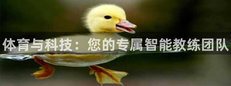 尊龙官方网站是真的吗：体育与科技：您的专属智能教练团队