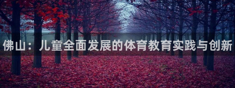 尊龙凯时泰安：佛山：儿童全面发展的体育教育实践与创新