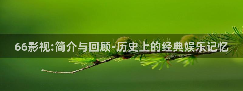 开心影院在线观看：66影视:简介与回顾-历史上的经典娱乐记忆