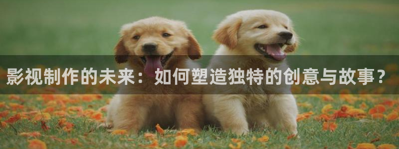 开心影院电视剧免费观看：影视制作的未来：如何塑造独特的创意与故事？