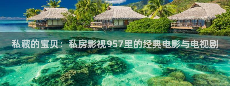 开心影院电视剧在线观看：私藏的宝贝：私房影视957里的经典电影与电视剧